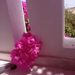Nina Amoopi
