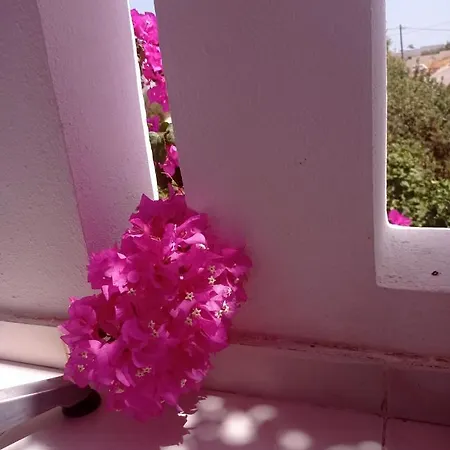Nina אמופי